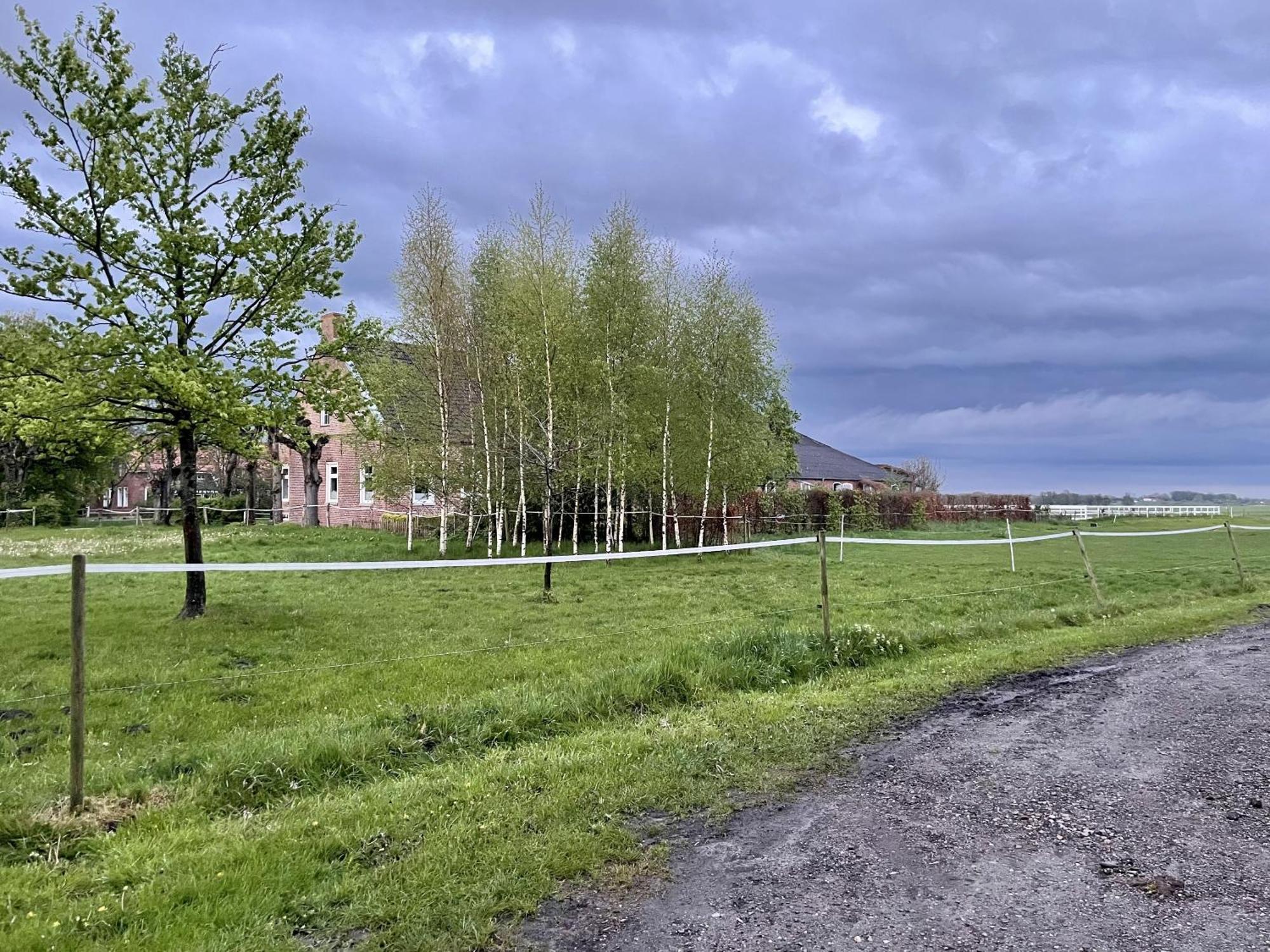 Steinhaus Hof Villa Bunde  Exteriör bild